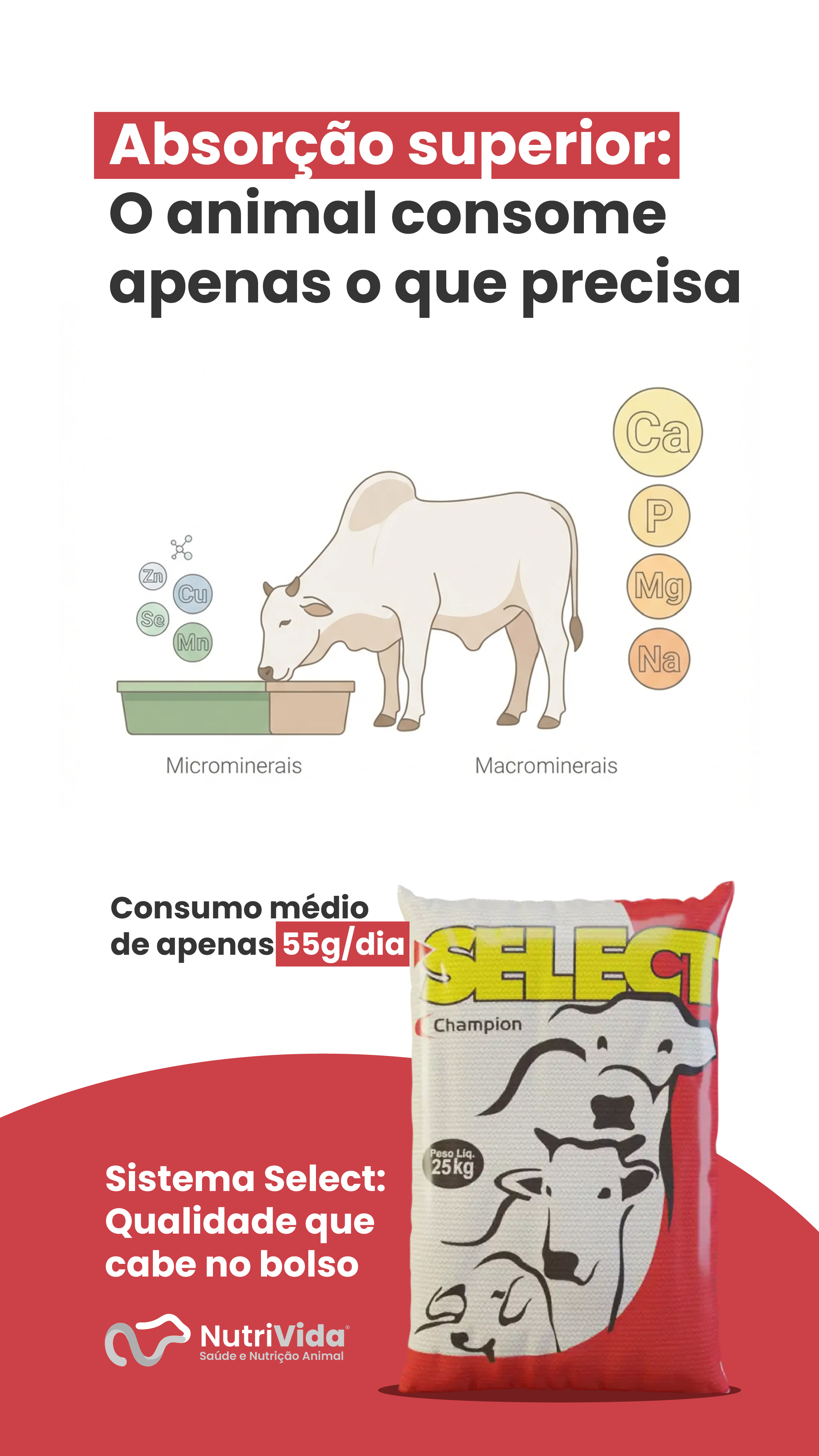 Story Select Cria 02