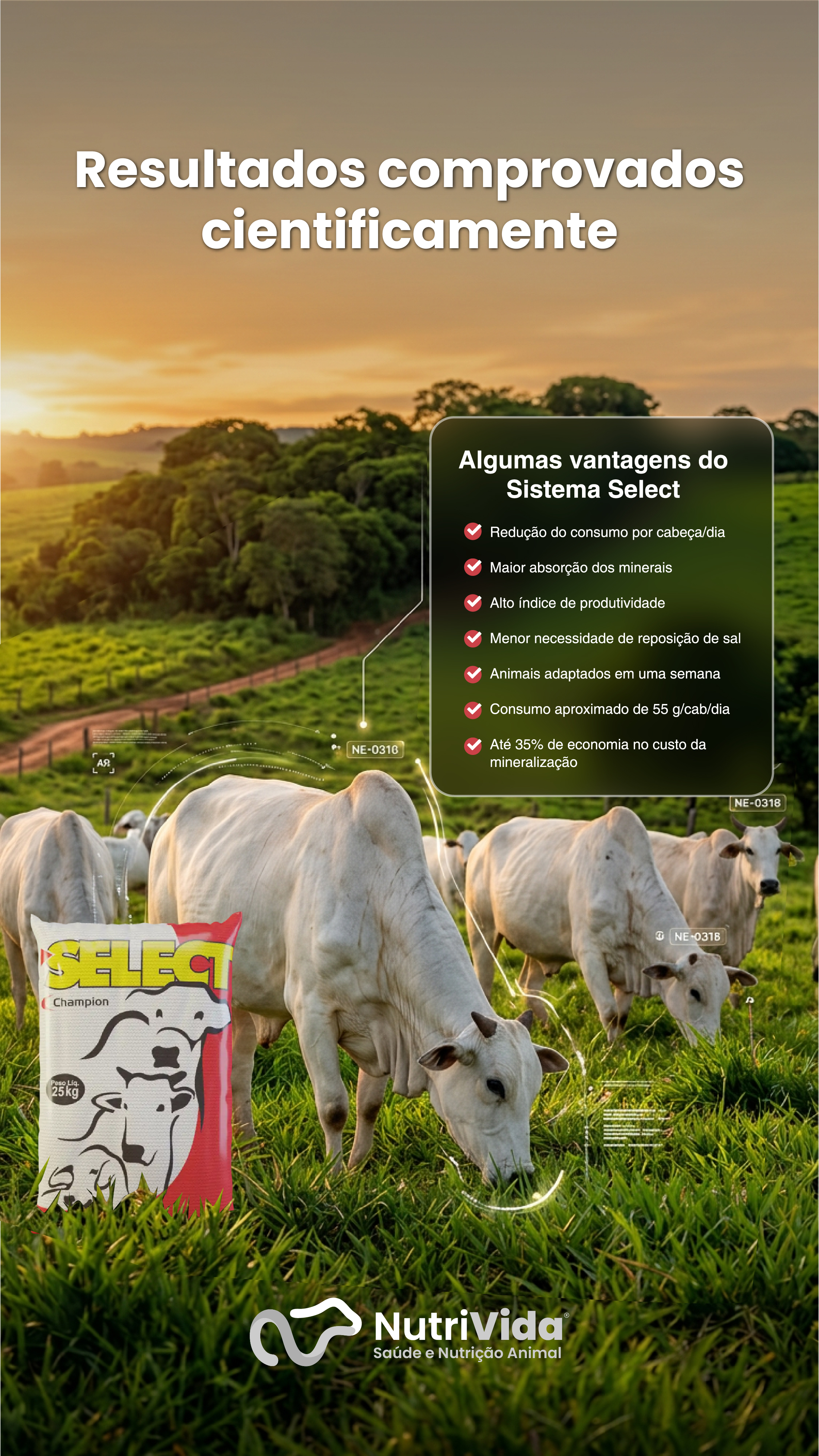 Story Select Cria 03